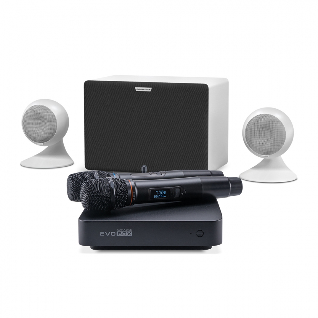 караоке-комплект EVOBOX Classic + EvoSound Sphere 2.1 в Якутии