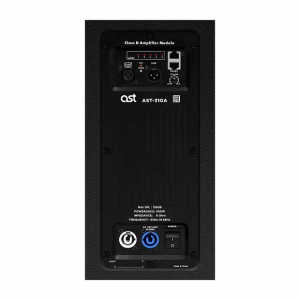 Активная акустическая система AST-310A в Якутии