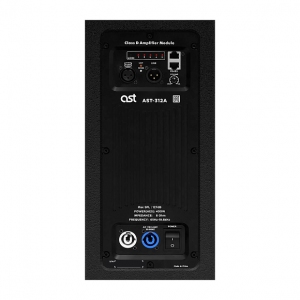 Активная акустическая система AST-312A в Якутии