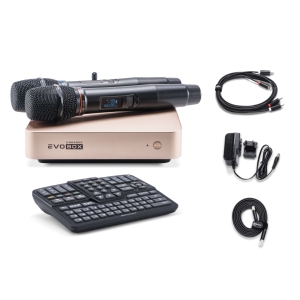 EVOBOX Classic караоке-система для дома в Якутии